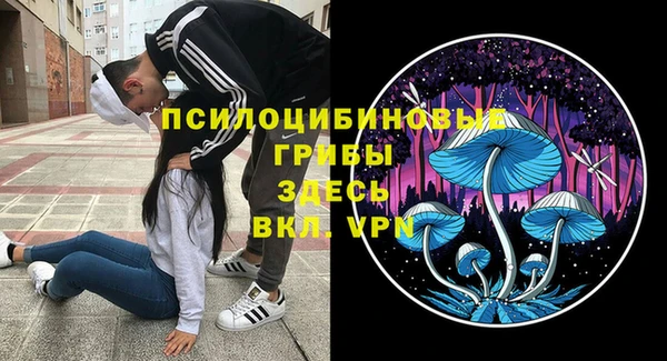 MDMA Армянск